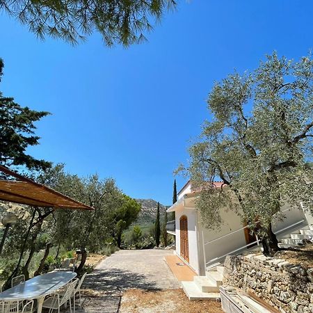 Colori Del Sud - Residence Маттіната Екстер'єр фото